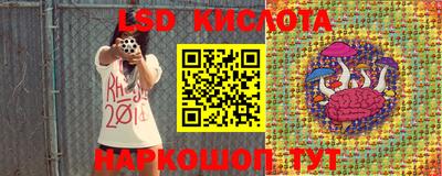 эйфоретик Новозыбков