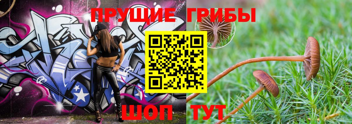 Тольятти  Псилоцибиновые грибы Magic Shrooms  купить наркотик  Псилоцибиновые грибы мицелий  Вход с VPN 
