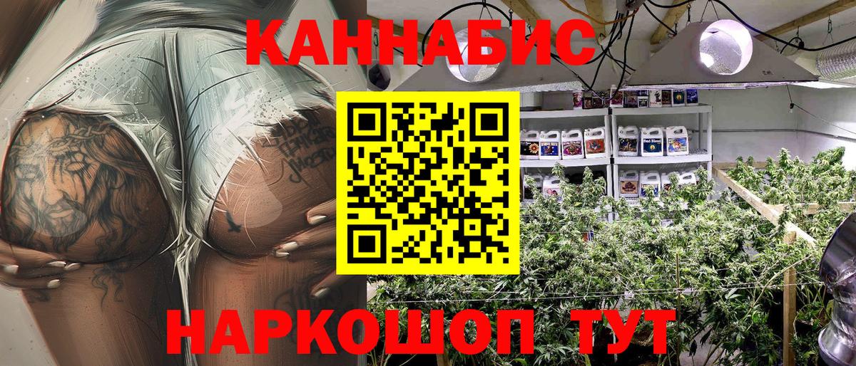 Шишки марихуана план  Вход с VPN  Тольятти  Каннабис план  Канабис THC 21% 